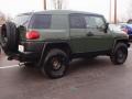 2011 Army Green Toyota FJ Cruiser 4WD  photo #3