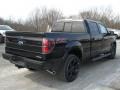 Tuxedo Black Metallic - F150 FX4 SuperCrew 4x4 Photo No. 8
