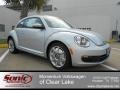 Reflex Silver Metallic - Beetle 2.5L Photo No. 1