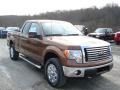 2012 Golden Bronze Metallic Ford F150 XLT SuperCab 4x4  photo #2