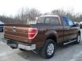 2012 Golden Bronze Metallic Ford F150 XLT SuperCab 4x4  photo #8