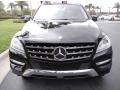Black - ML 350 4Matic Photo No. 3