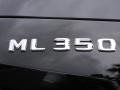Black - ML 350 4Matic Photo No. 9
