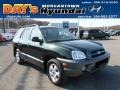 Dark Emerald Green 2006 Hyundai Santa Fe GLS 4WD