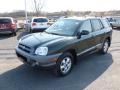 2006 Dark Emerald Green Hyundai Santa Fe GLS 4WD  photo #3