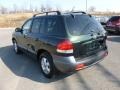 2006 Dark Emerald Green Hyundai Santa Fe GLS 4WD  photo #5