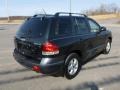 2006 Dark Emerald Green Hyundai Santa Fe GLS 4WD  photo #7