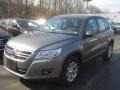 Alpine Grey Metallic - Tiguan S Photo No. 1