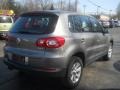 Alpine Grey Metallic - Tiguan S Photo No. 2