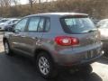 Alpine Grey Metallic - Tiguan S Photo No. 13
