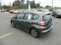 Polished Metal Metallic - Fit Sport Photo No. 3