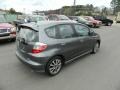 Polished Metal Metallic - Fit Sport Photo No. 5