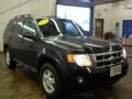 2010 Black Ford Escape XLT  photo #13