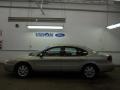 Gold Ash Metallic - Taurus SEL Photo No. 18