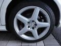 2009 Mercedes-Benz E 350 4Matic Sedan Wheel and Tire Photo