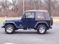 2001 Patriot Blue Pearl Jeep Wrangler SE 4x4  photo #12