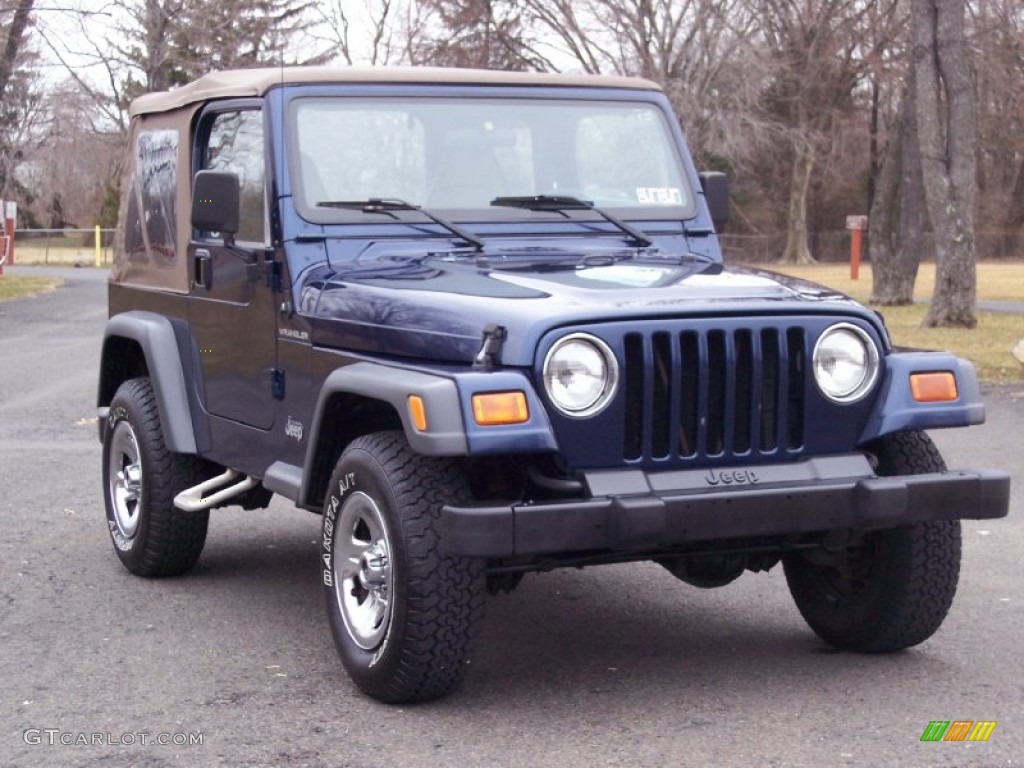 2001 Wrangler SE 4x4 - Patriot Blue Pearl / Camel photo #17