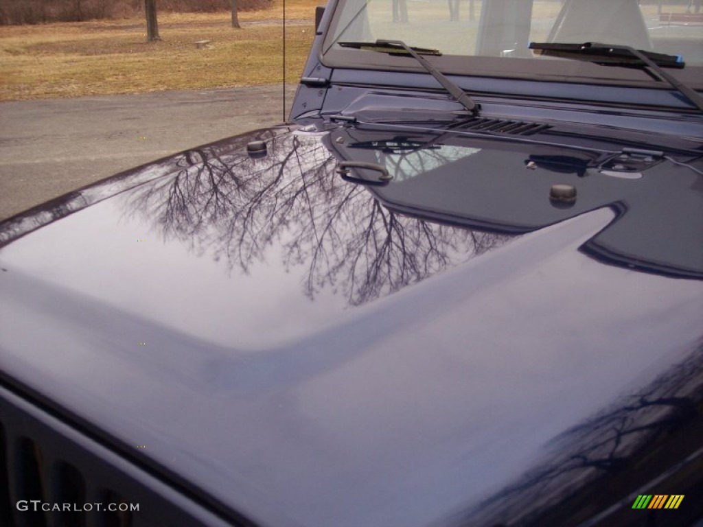 2001 Wrangler SE 4x4 - Patriot Blue Pearl / Camel photo #20