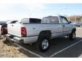 Light Driftwood Metallic - Ram 2500 ST Regular Cab 4x4 Photo No. 2