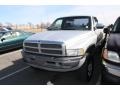 Light Driftwood Metallic - Ram 2500 ST Regular Cab 4x4 Photo No. 4
