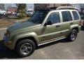 2004 Cactus Green Pearl Jeep Liberty Renegade 4x4  photo #1