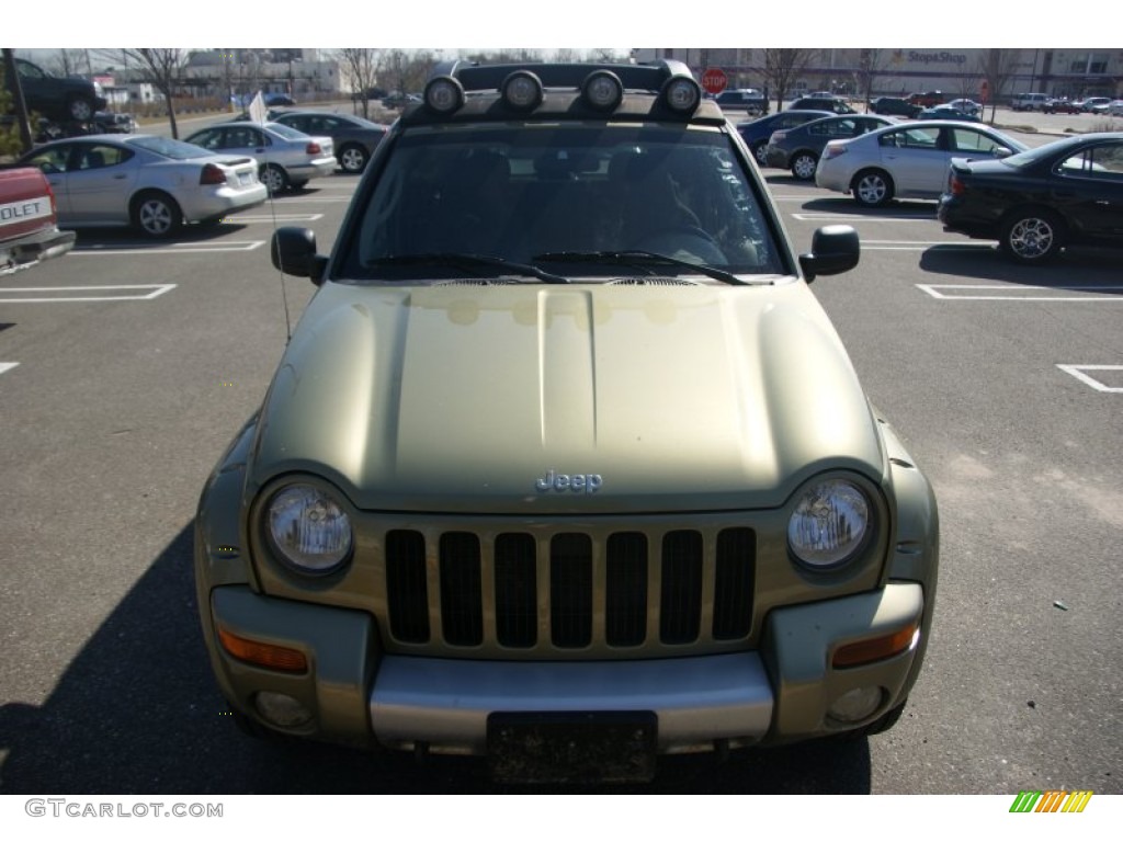 2004 Liberty Renegade 4x4 - Cactus Green Pearl / Light Taupe/Dark Slate Gray photo #2