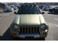 2004 Cactus Green Pearl Jeep Liberty Renegade 4x4  photo #2