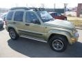2004 Cactus Green Pearl Jeep Liberty Renegade 4x4  photo #3