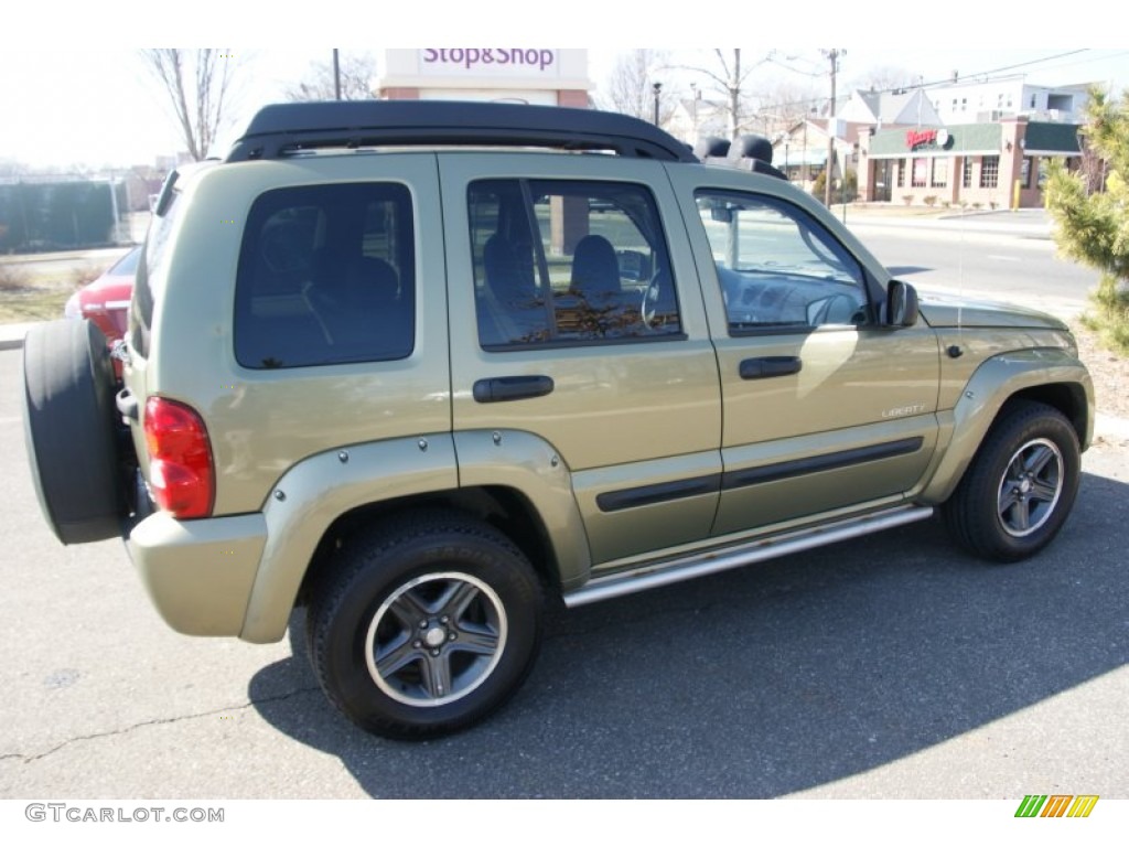 2004 Liberty Renegade 4x4 - Cactus Green Pearl / Light Taupe/Dark Slate Gray photo #4