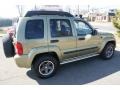 2004 Cactus Green Pearl Jeep Liberty Renegade 4x4  photo #4