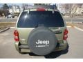 2004 Cactus Green Pearl Jeep Liberty Renegade 4x4  photo #5