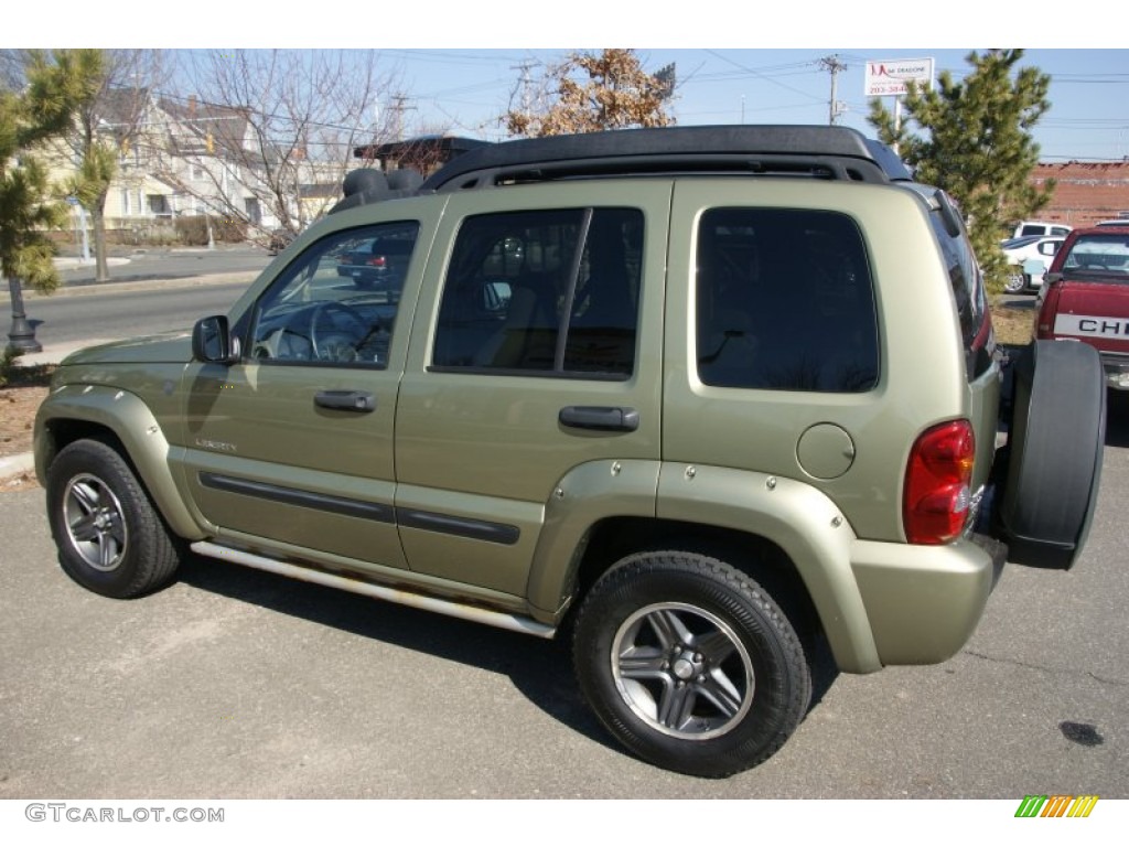 2004 Liberty Renegade 4x4 - Cactus Green Pearl / Light Taupe/Dark Slate Gray photo #6