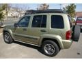 2004 Cactus Green Pearl Jeep Liberty Renegade 4x4  photo #6