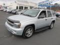 Moondust Metallic - TrailBlazer LS 4x4 Photo No. 6