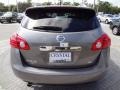 Platinum Graphite - Rogue SL Photo No. 8