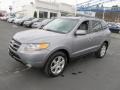 Steel Gray - Santa Fe Limited 4WD Photo No. 6