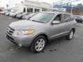 2007 Steel Gray Hyundai Santa Fe Limited 4WD  photo #6