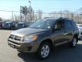 Pyrite Metallic - RAV4 I4 4WD Photo No. 3