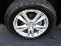 2010 Hyundai Santa Fe Limited 4WD Wheel and Tire Photo