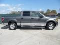 Sterling Grey Metallic 2010 Ford F150 XLT SuperCrew Exterior
