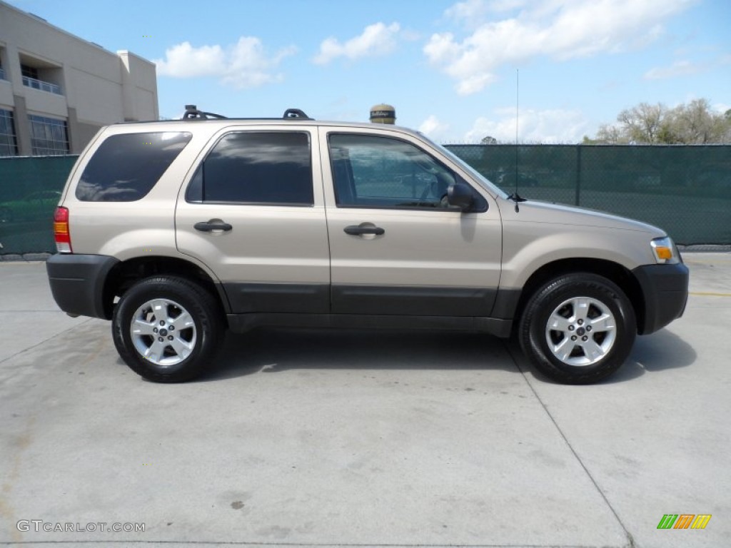 Dune Pearl Metallic 2007 Ford Escape XLT V6 Exterior Photo #62029902