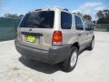 2007 Dune Pearl Metallic Ford Escape XLT V6  photo #3