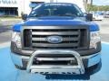 2010 Blue Flame Metallic Ford F150 XL Regular Cab  photo #8