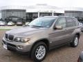 2006 Kalahari Beige Metallic BMW X5 3.0i  photo #1