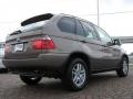 2006 Kalahari Beige Metallic BMW X5 3.0i  photo #5