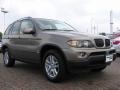 2006 Kalahari Beige Metallic BMW X5 3.0i  photo #7