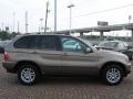 2006 Kalahari Beige Metallic BMW X5 3.0i  photo #14