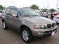 2006 Kalahari Beige Metallic BMW X5 3.0i  photo #15