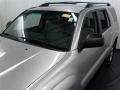 Titanium Metallic - 4Runner SR5 Photo No. 15
