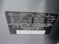 MAD: Carbon Gray Mist 2010 Hyundai Elantra GLS Color Code